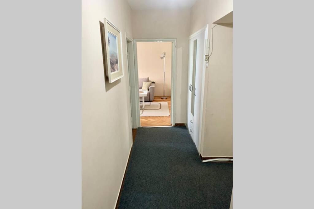 Cute, Spacious Apt In The Heart Of The Old Town Podgorica Buitenkant foto