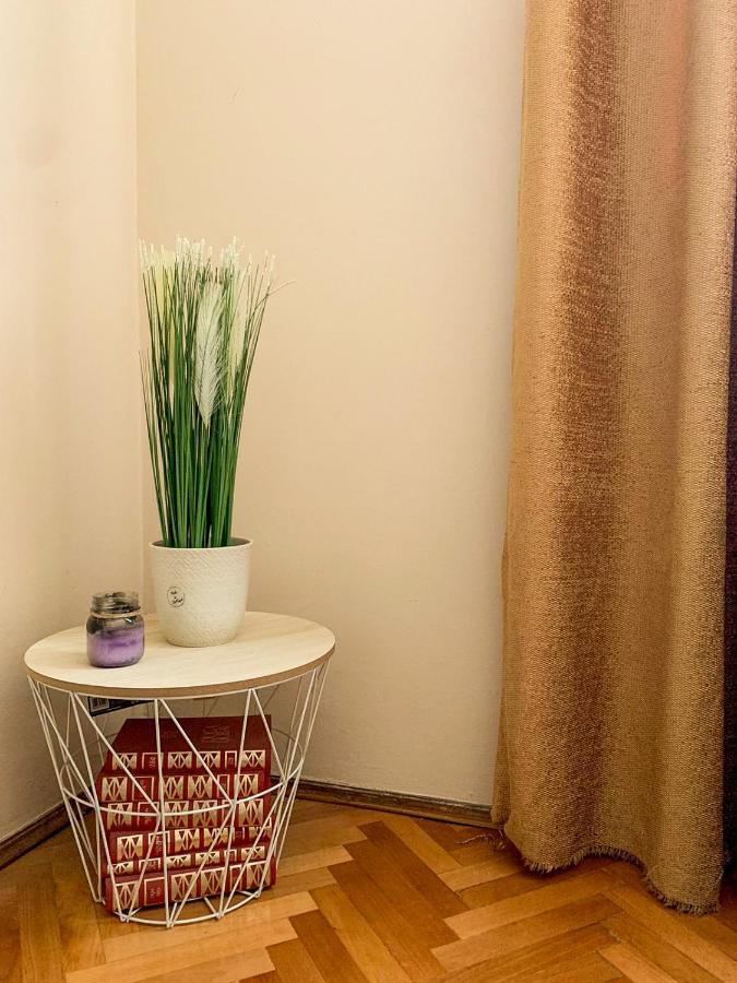 Cute, Spacious Apt In The Heart Of The Old Town Podgorica Buitenkant foto